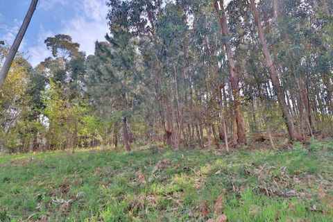 Helårsgrund i Braga, Braga, Braga - € 780.000 | Ref: 013-4174 - foto 4