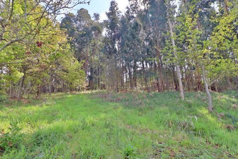 Helårsgrund i Braga, Braga, Braga - € 780.000 | Ref: 013-4174 - foto 15
