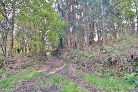 Helårsgrund i Braga, Braga, Braga - € 780.000 | Ref: 013-4174 - foto 17