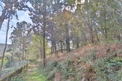 Helårsgrund i Braga, Braga, Braga - € 780.000 | Ref: 013-4174 - foto 22