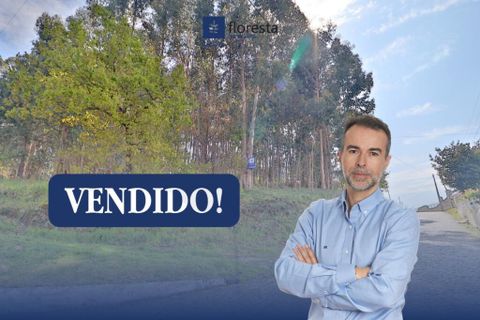 Helårsgrund i Braga, Braga, Braga - € 780.000 | Ref: 013-4174 - foto 1