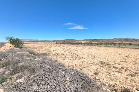 Terra a Abanilla, Murcia, Abanilla - € 89.990 | Ref: 70031 - foto 2
