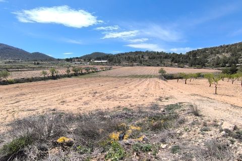 Terra a La Zarza, Murcia, La Zarza - € 62.500 | Ref: 70030 - foto 3