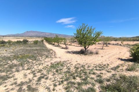 Tomt i Jumilla, Murcia, Jumilla - € 13 900 | Ref: 70028 - foto 2
