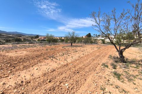 Tomt i Jumilla, Murcia, Jumilla - € 13 800 | Ref: 70027 - foto 2