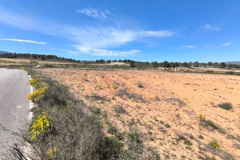 Terra a La Zarza, Murcia, La Zarza - € 43.500 | Ref: 70029 - foto 2