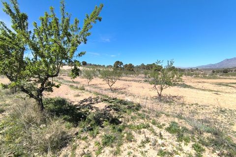 Terra a La Zarza, Murcia, La Zarza - € 43.500 | Ref: 70029 - foto 3