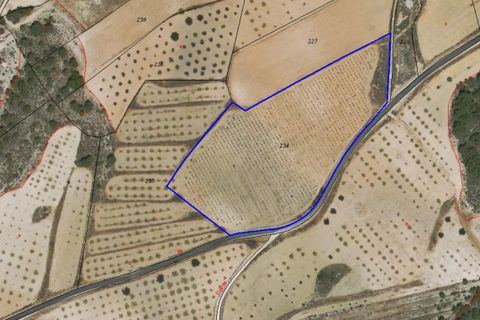 Terra a La Zarza, Murcia, La Zarza - € 43.500 | Ref: 70029 - foto 4