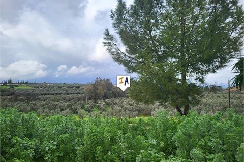 Cortijo i Casariche, Sevilla, Casariche - € 89.950 | Ref: CJ912 - foto 3