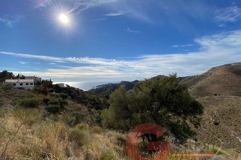 Helårsgrund i Almunecar, Granada, Almunecar - € 43.000 | Ref: J875 - foto 8