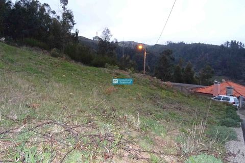 Helårsgrund i Camacha, Madeira, Camacha - € 120.000 | Ref: 1664 - foto 9