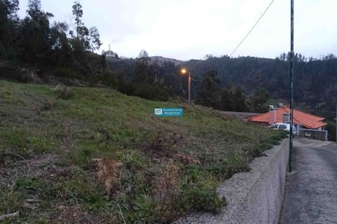 Helårsgrund i Camacha, Madeira, Camacha - € 120.000 | Ref: 1664 - foto 7