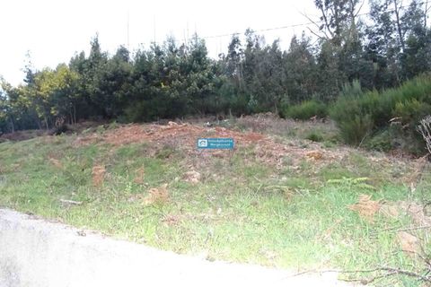 Helårsgrund i Camacha, Madeira, Camacha - € 120.000 | Ref: 1664 - foto 10