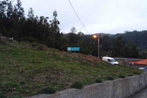 Helårsgrund i Camacha, Madeira, Camacha - € 120.000 | Ref: 1664 - foto 11