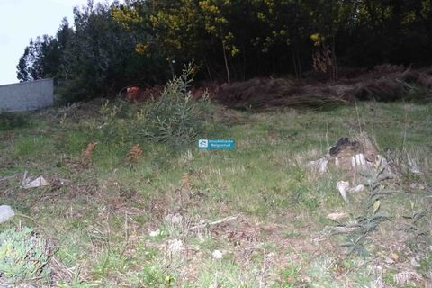 Helårsgrund i Camacha, Madeira, Camacha - € 120.000 | Ref: 1664 - foto 12
