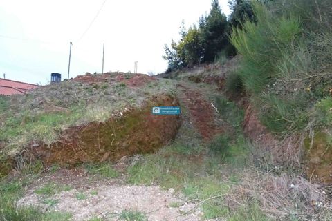 Helårsgrund i Camacha, Madeira, Camacha - € 120.000 | Ref: 1664 - foto 13