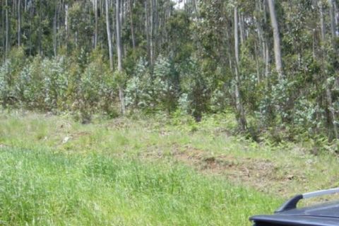 Helårsgrund i Camacha, Madeira, Camacha - € 120.000 | Ref: 1664 - foto 15