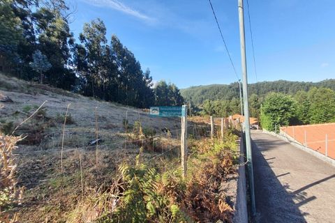 Helårsgrund i Camacha, Madeira, Camacha - € 120.000 | Ref: 1664 - foto 1
