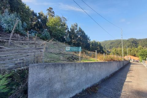 Helårsgrund i Camacha, Madeira, Camacha - € 120.000 | Ref: 1664 - foto 2