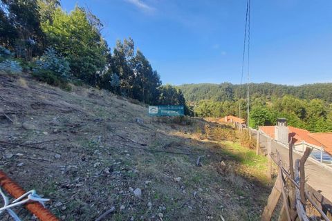 Helårsgrund i Camacha, Madeira, Camacha - € 120.000 | Ref: 1664 - foto 3