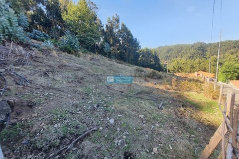 Helårsgrund i Camacha, Madeira, Camacha - € 120.000 | Ref: 1664 - foto 4