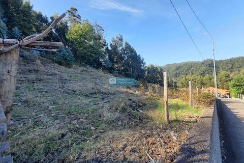Helårsgrund i Camacha, Madeira, Camacha - € 120.000 | Ref: 1664 - foto 5