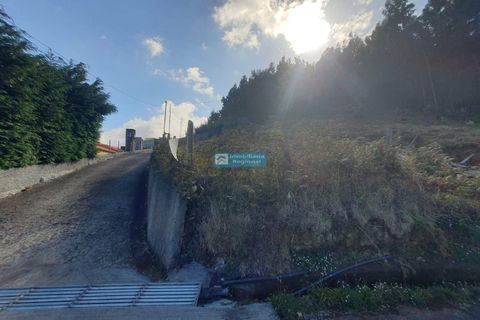 Helårsgrund i Camacha, Madeira, Camacha - € 120.000 | Ref: 1664 - foto 8