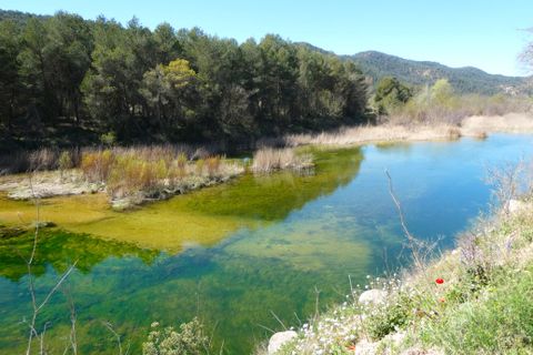 Finca em Caseres, Tarragona, Caseres - € 9.000 | Ref: 1001 - foto 12