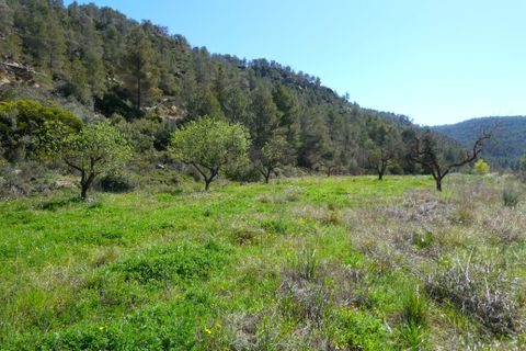 Finca em Caseres, Tarragona, Caseres - € 9.000 | Ref: 1001 - foto 10