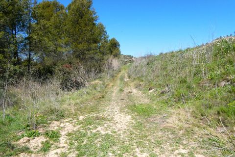 Finca em Caseres, Tarragona, Caseres - € 9.000 | Ref: 1001 - foto 11