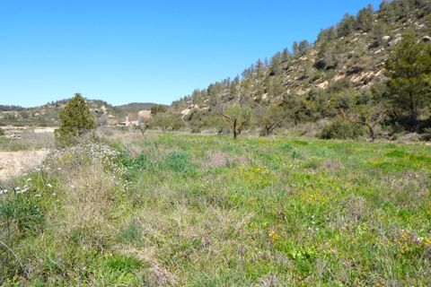 Finca em Caseres, Tarragona, Caseres - € 9.000 | Ref: 1001 - foto 8
