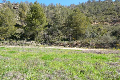 Finca em Caseres, Tarragona, Caseres - € 9.000 | Ref: 1001 - foto 7