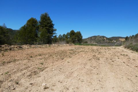 Finca em Caseres, Tarragona, Caseres - € 9.000 | Ref: 1001 - foto 6