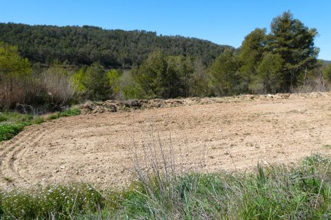 Finca em Caseres, Tarragona, Caseres - € 9.000 | Ref: 1001 - foto 9