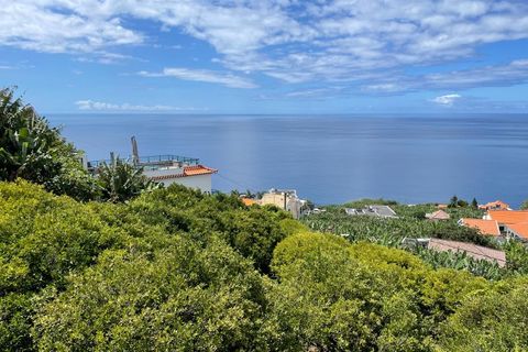 Helårsgrund i Ponta do Sol, Madeira, Ponta do Sol - € 260.000 | Ref: KWPT-013691 - foto 17