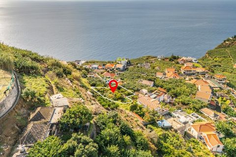Helårsgrund i Ponta do Sol, Madeira, Ponta do Sol - € 260.000 | Ref: KWPT-013691 - foto 1