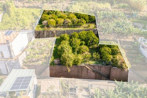 Helårsgrund i Ponta do Sol, Madeira, Ponta do Sol - € 260.000 | Ref: KWPT-013691 - foto 2