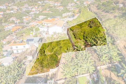 Helårsgrund i Ponta do Sol, Madeira, Ponta do Sol - € 260.000 | Ref: KWPT-013691 - foto 3