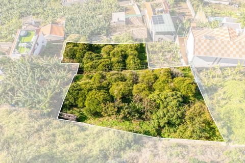 Helårsgrund i Ponta do Sol, Madeira, Ponta do Sol - € 260.000 | Ref: KWPT-013691 - foto 5