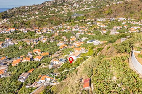 Helårsgrund i Ponta do Sol, Madeira, Ponta do Sol - € 260.000 | Ref: KWPT-013691 - foto 10