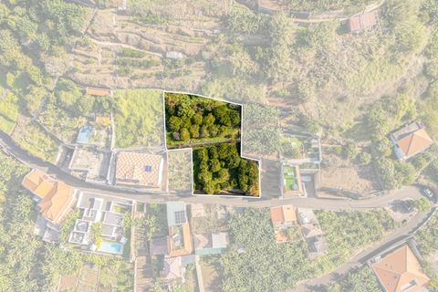 Helårsgrund i Ponta do Sol, Madeira, Ponta do Sol - € 260.000 | Ref: KWPT-013691 - foto 13