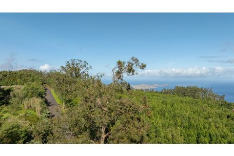 Helårsgrund i Machico, Madeira, Machico - € 400.000 | Ref: KWPT-012744 - foto 8