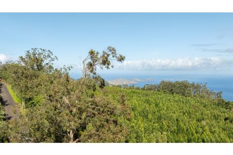 Helårsgrund i Machico, Madeira, Machico - € 400.000 | Ref: KWPT-012744 - foto 9