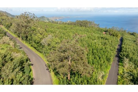 Helårsgrund i Machico, Madeira, Machico - € 400.000 | Ref: KWPT-012744 - foto 10