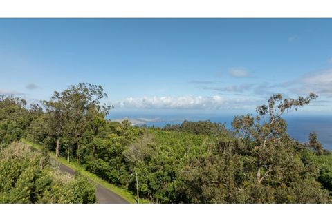 Helårsgrund i Machico, Madeira, Machico - € 400.000 | Ref: KWPT-012744 - foto 14