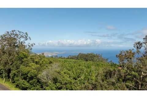 Helårsgrund i Machico, Madeira, Machico - € 400.000 | Ref: KWPT-012744 - foto 15
