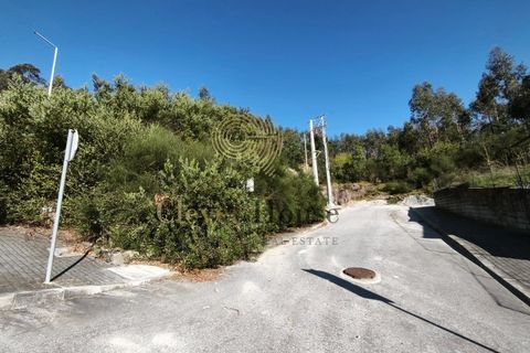 Erhvervsejendom i Barcelos, Braga, Barcelos - € 1.200.000 | Ref: SÒL_4029 - foto 3