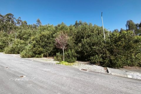 Erhvervsejendom i Barcelos, Braga, Barcelos - € 1.200.000 | Ref: SÒL_4029 - foto 6