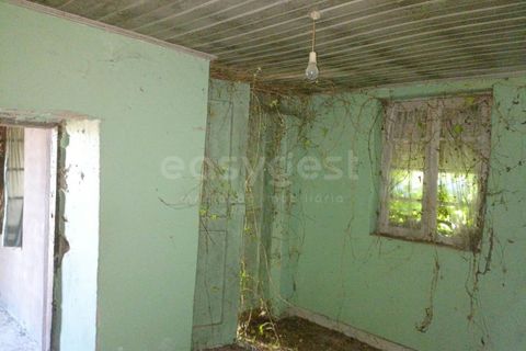 Villa a Tondela, Viseu, Tondela - € 48.000 | Ref: VS96931 - foto 6