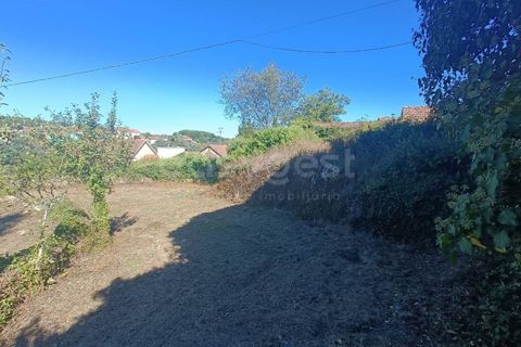 Villa a Tondela, Viseu, Tondela - € 48.000 | Ref: VS96931 - foto 11